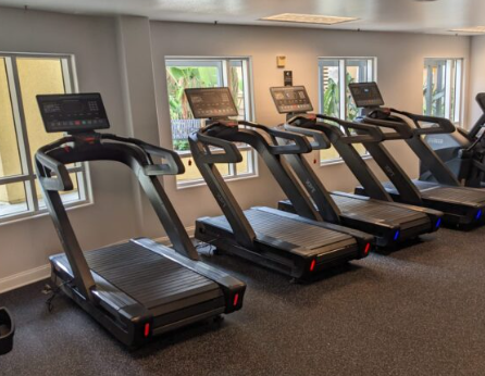 New 2025 XPT Slat Belt Treadmill