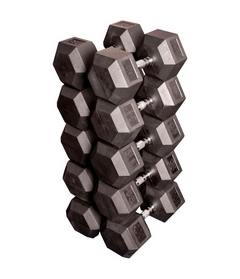 Commercial 80 100lb Rubber Hex Dumbbell Set Gym Experts
