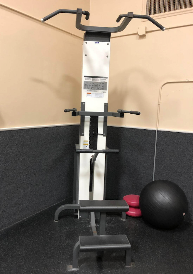 Cybex assisted chin up dip machine sale