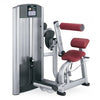 Life Fitness Back Extension Signature Series