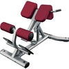 Life Fitness Signature Series Back Extension Sbe